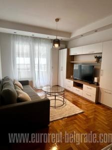 Apartment Vračar
